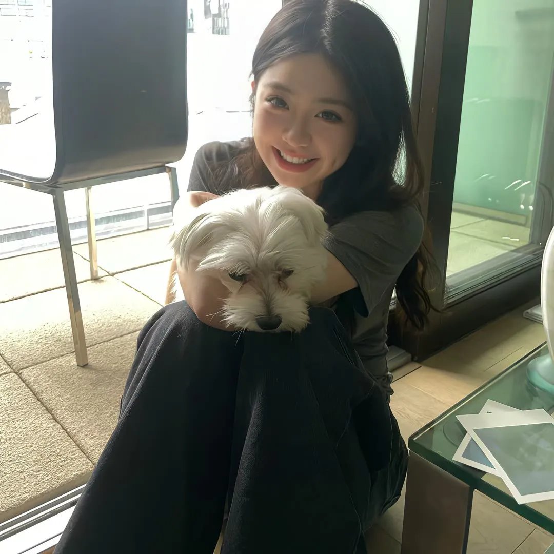 51号公式